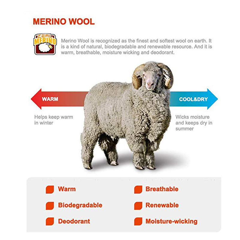 Ijverhout Wandelen Trekking Da - Thermal Sock Wool recensie en prijs